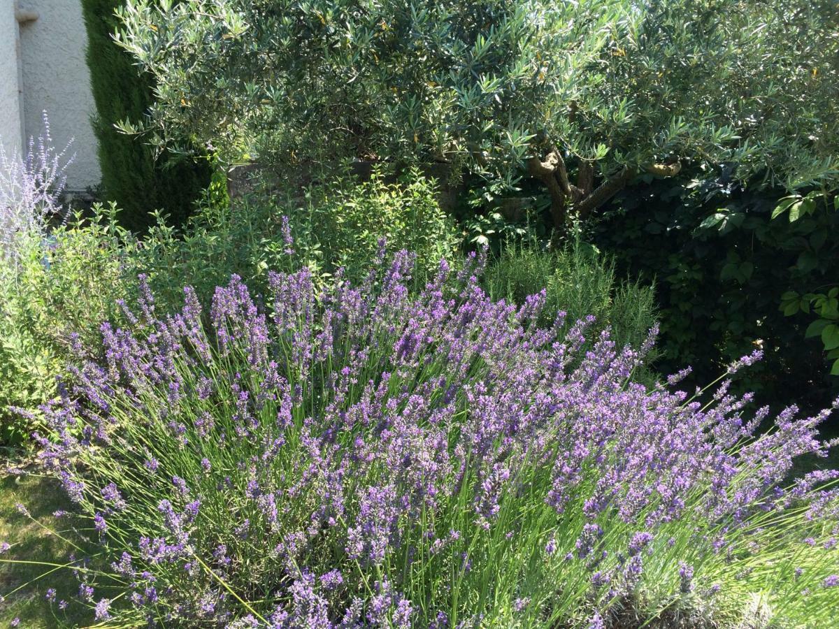 Le Mazet Des Joncs En Provence Villa Saint-Pierre-de-Vassols Luaran gambar