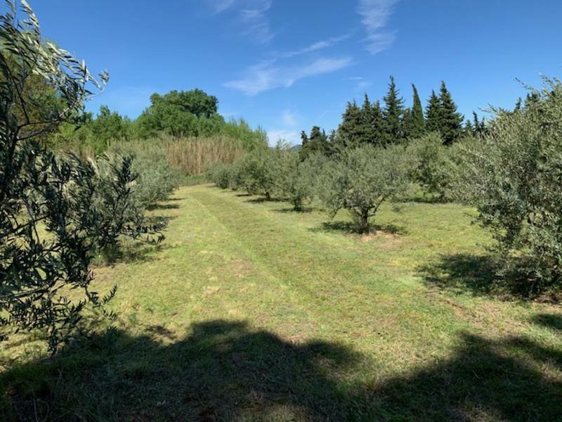 Le Mazet Des Joncs En Provence Villa Saint-Pierre-de-Vassols Luaran gambar